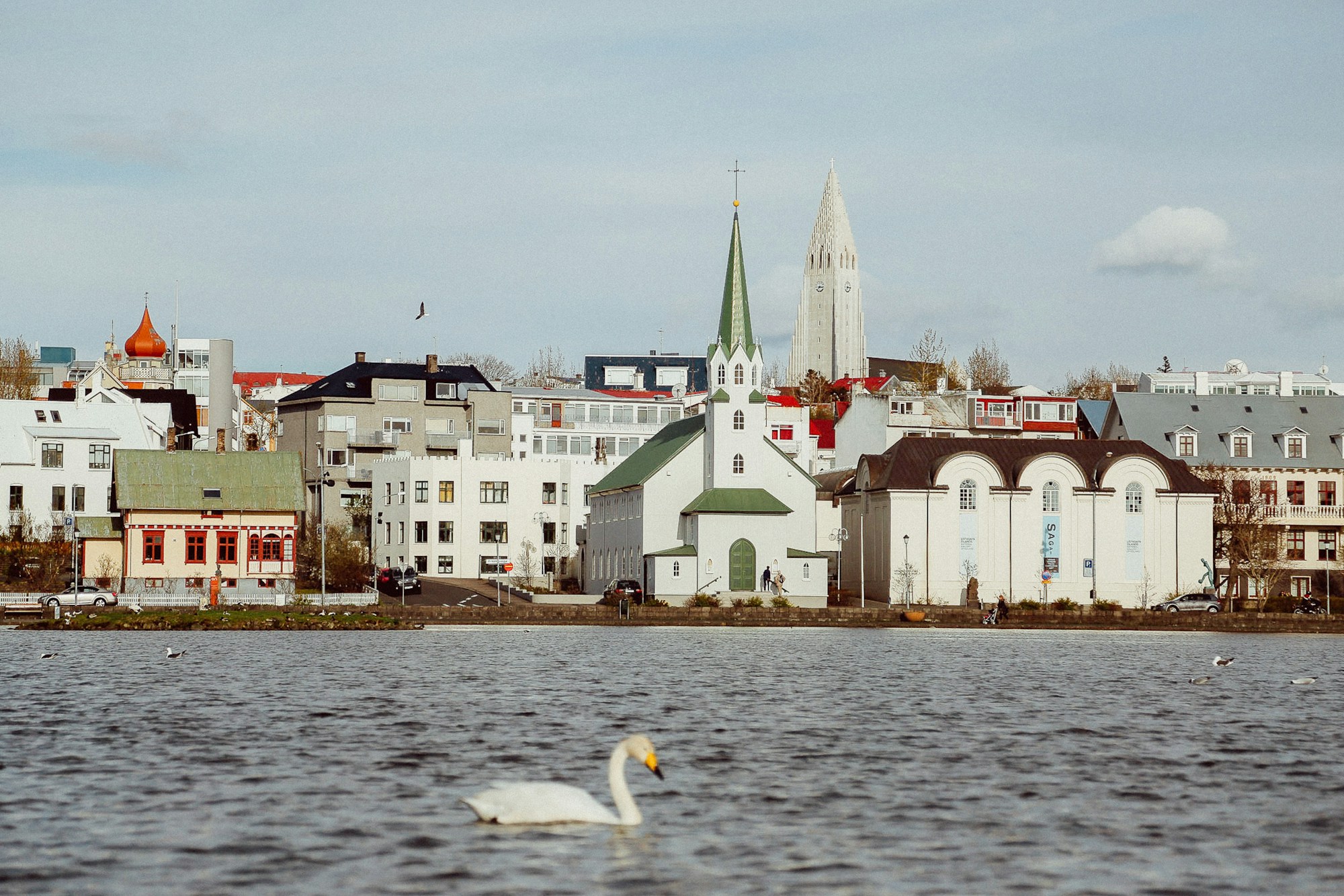 Exploring Reykjavik's Authentic Cuisine & Culinary Delights