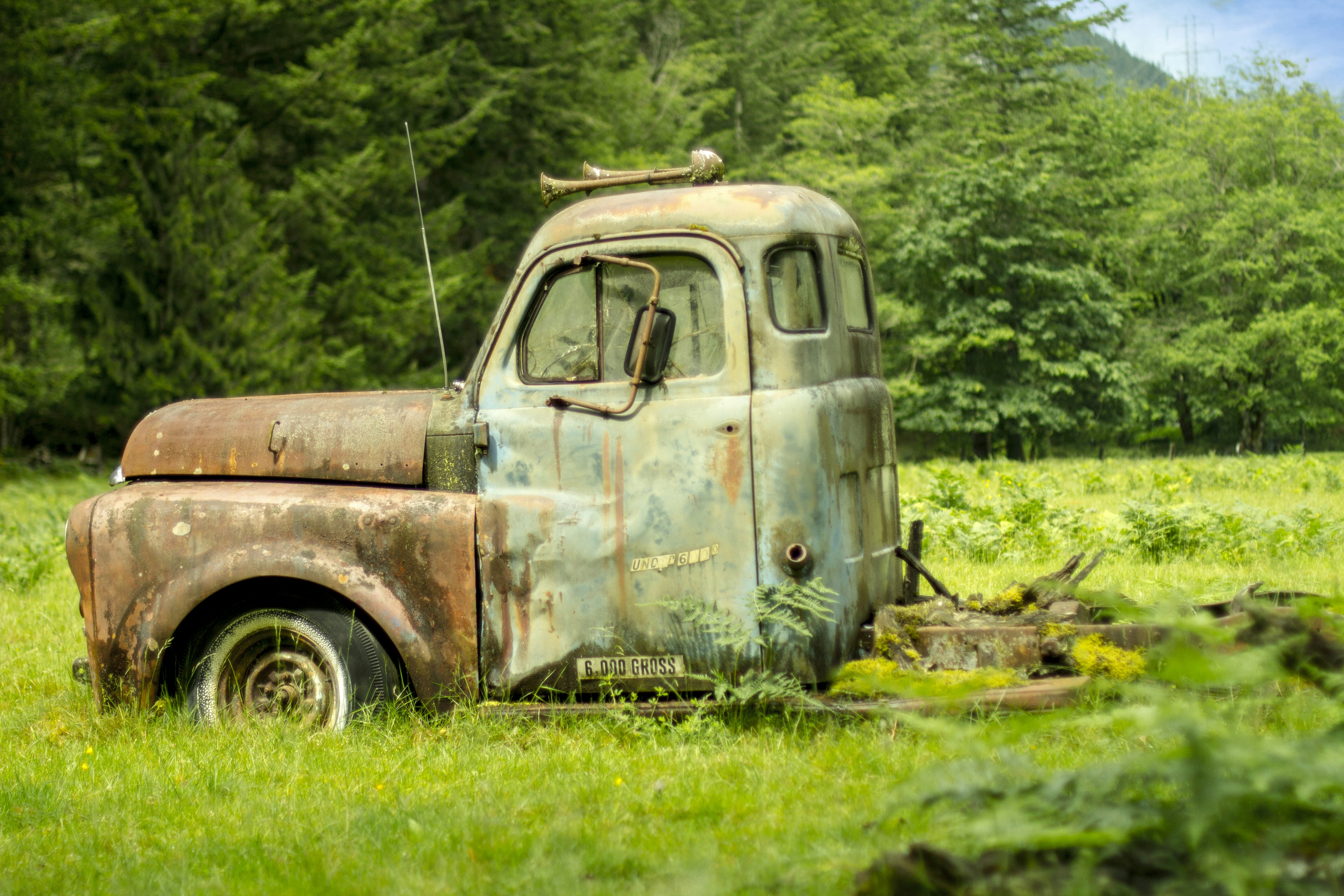 Free Unsplash photo from Steven Magner