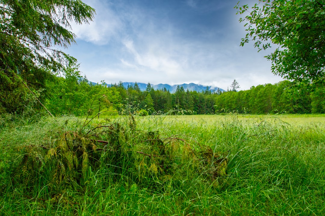 Nature reserve photo spot Marblemount Mount Shuksan