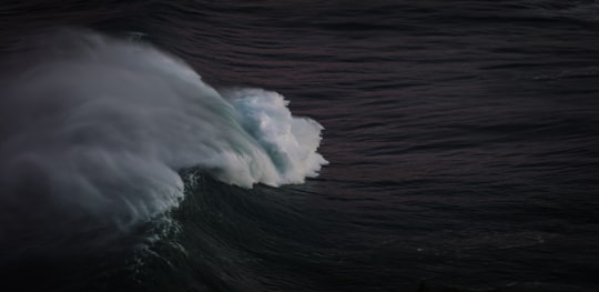 Zenith Beach things to do in Stockton