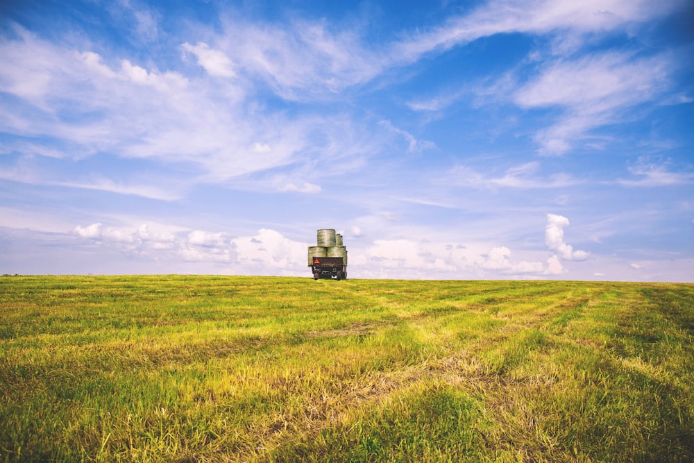 Foto de campo de hierba verde