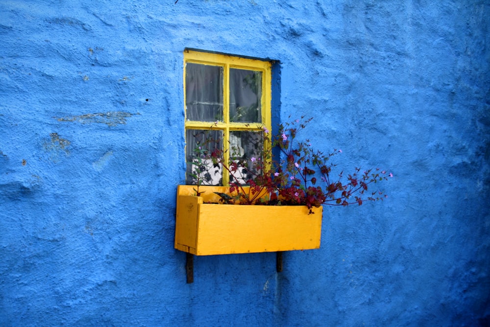 maceta en ventana con flores