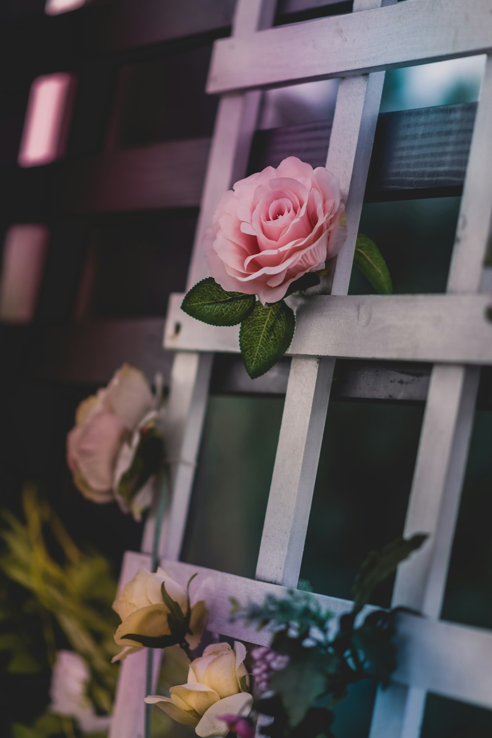 Imágenes de Fondo De Pantalla De Flores Hd | Descarga imágenes gratuitas en  Unsplash