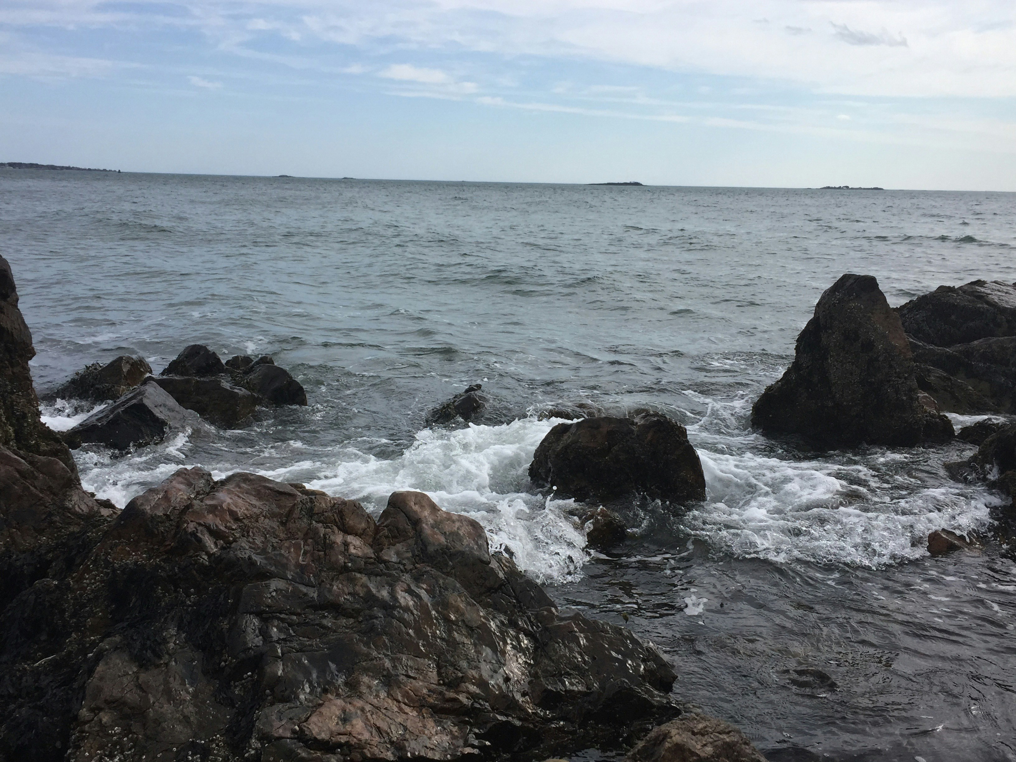 Free Unsplash photo from Mary Kate Palmerino