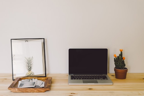 A minimalist wooden desk features a closed laptop in the center, a small potted cactus with orange flowers on the right, and a wooden tray with photographs on the left. Leaning against the wall is a framed picture of a pineapple, adding a subtle artistic touch to the tidy workspace.