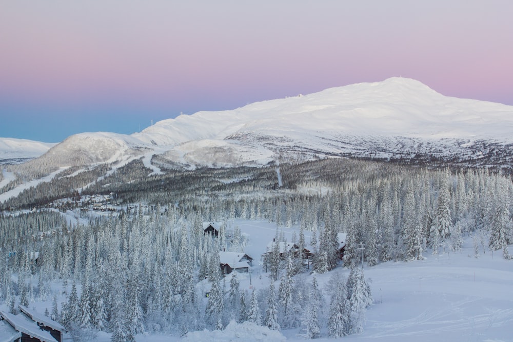 montanha coberta de neve