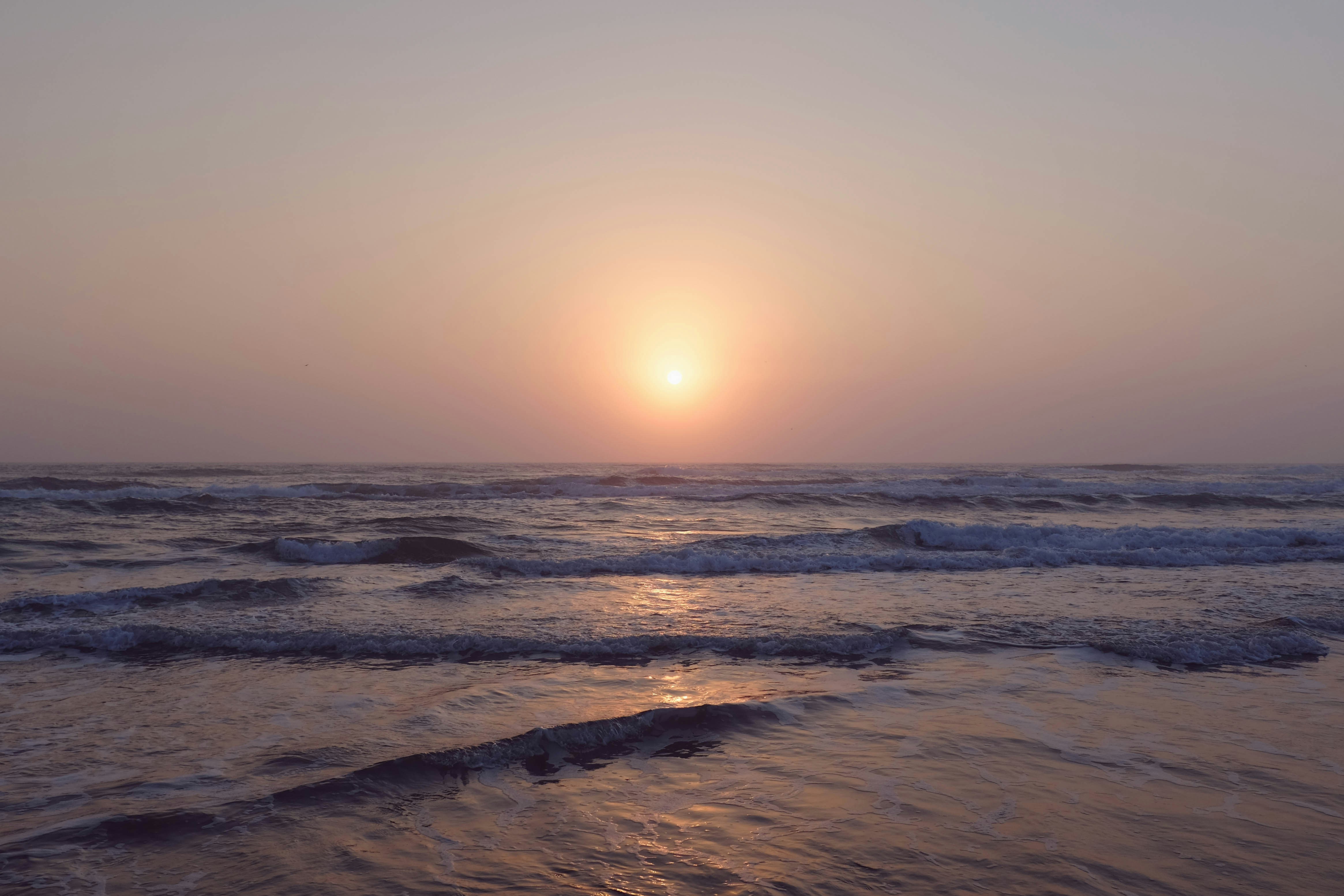 Free Unsplash photo from Joe Cavazos