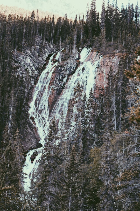 waterfalls surrounded with trees at daytime in Grassi Lakes Canada