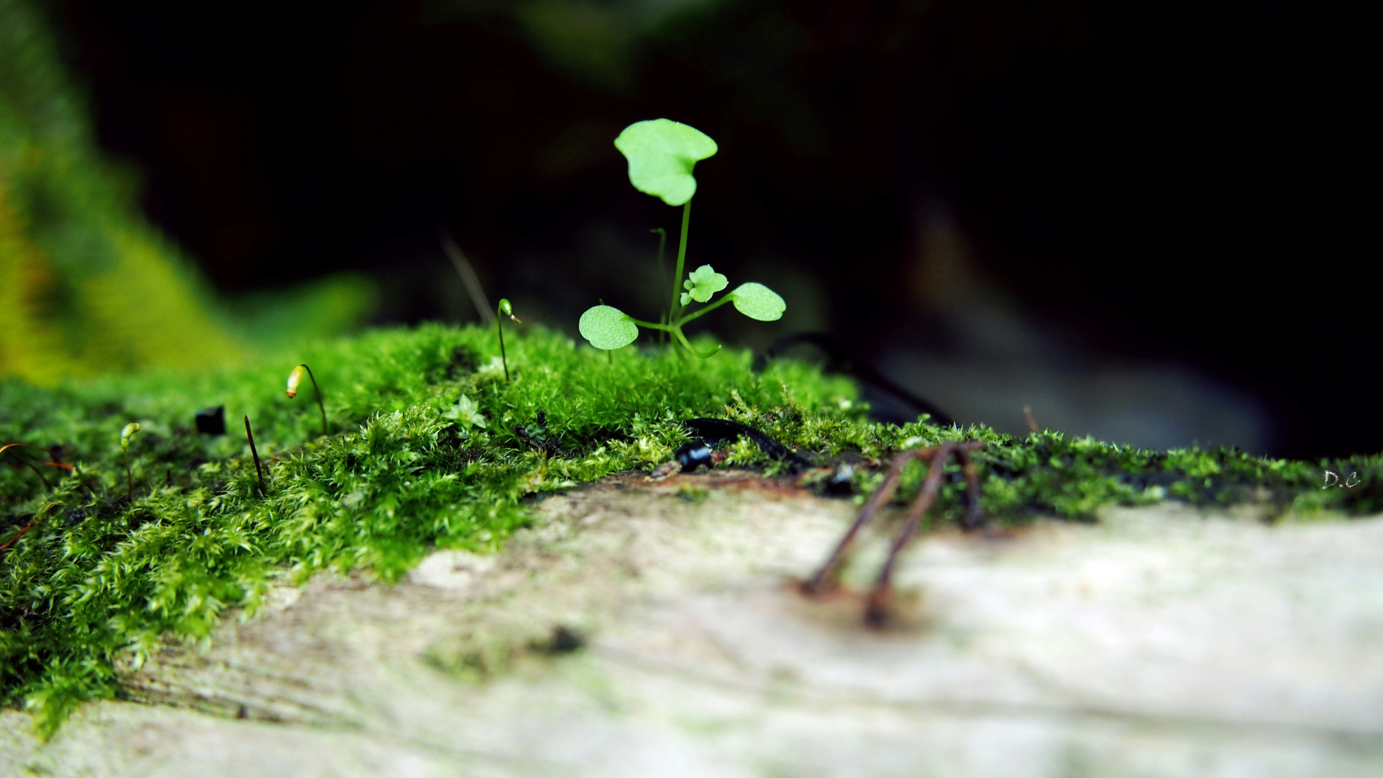 Free Unsplash photo from Emy Nguyen