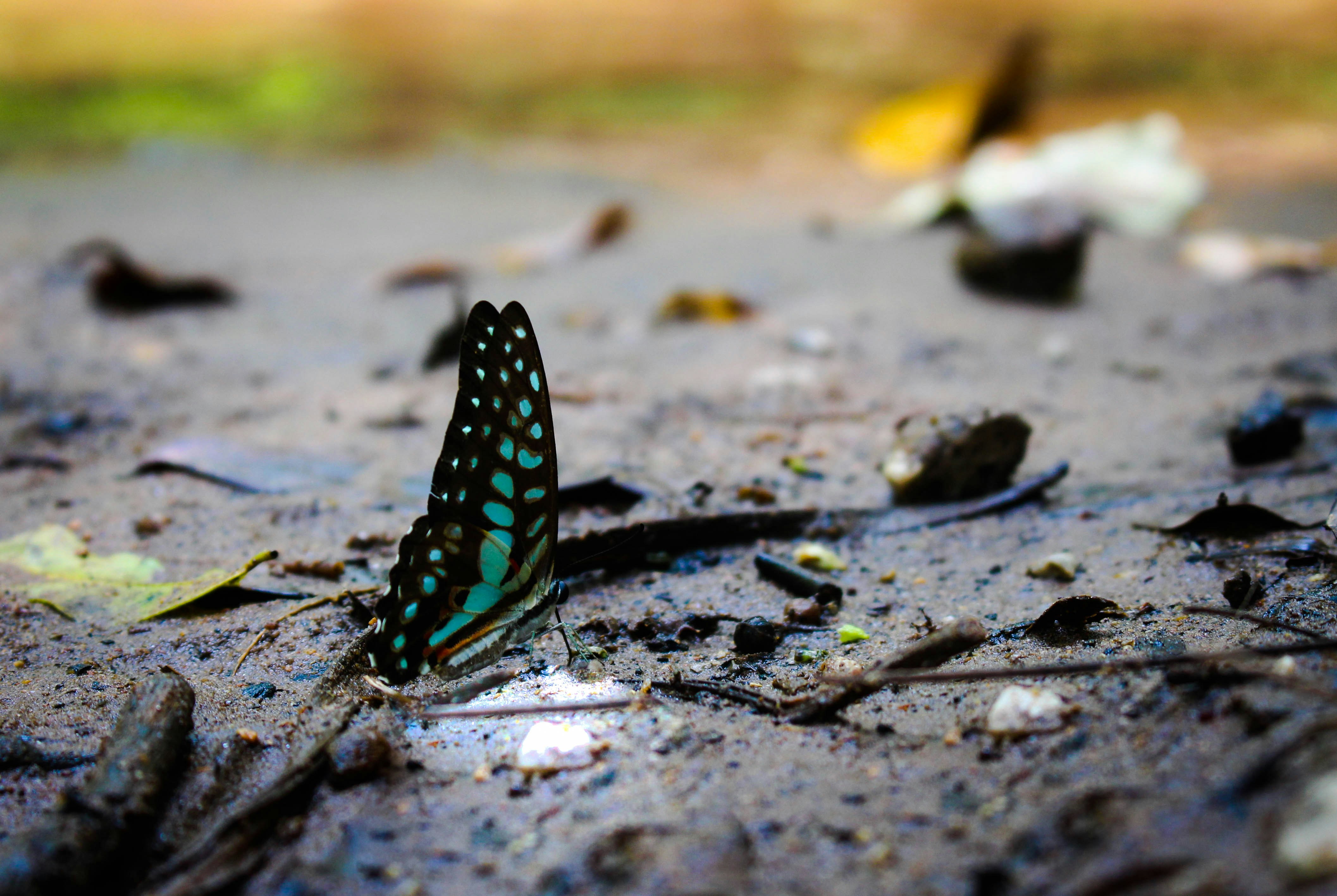 Free Unsplash photo from Bean Kanokporn