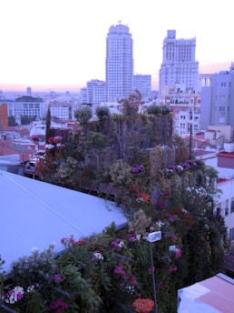 A lush rooftop garden filled with various plants and flowers adds vibrant greenery to the urban landscape. Tall buildings rise in the background under a soft, pastel sky, creating a blend of nature and city life.