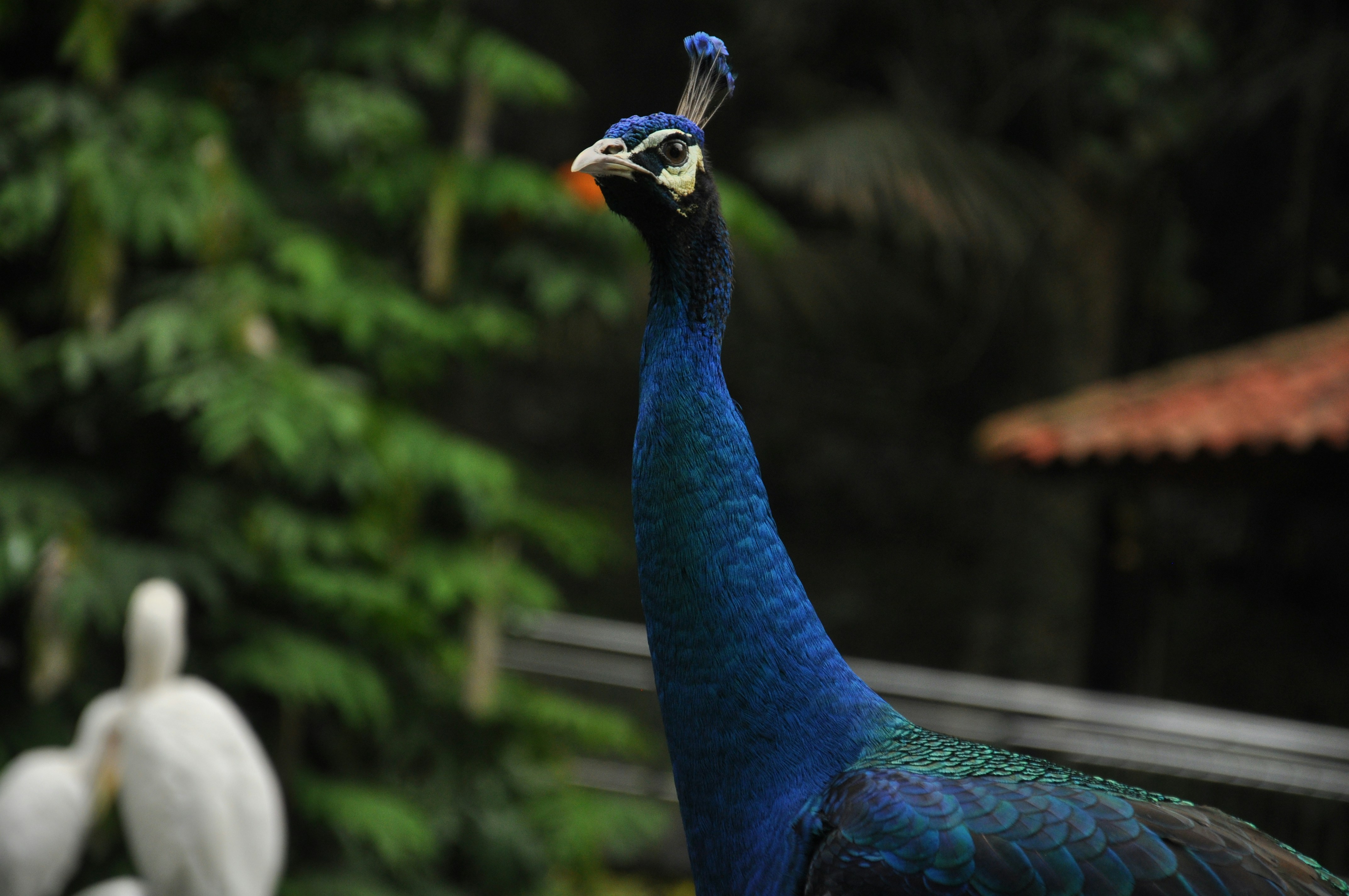 Free Unsplash photo from Kalpesh Patel