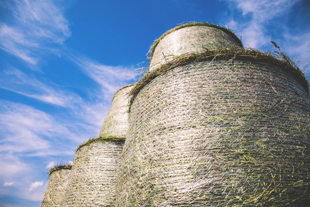 Photographie de meules de foin brunes