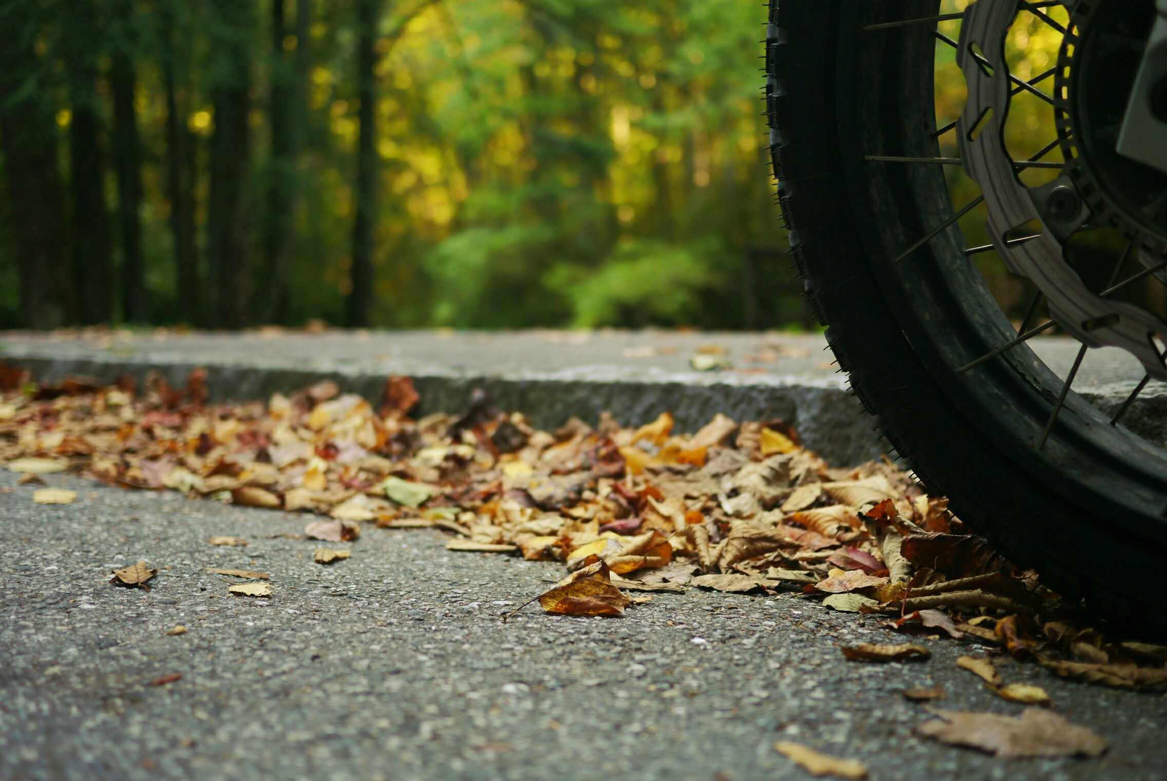 Free Unsplash photo from Adrian Ritchie