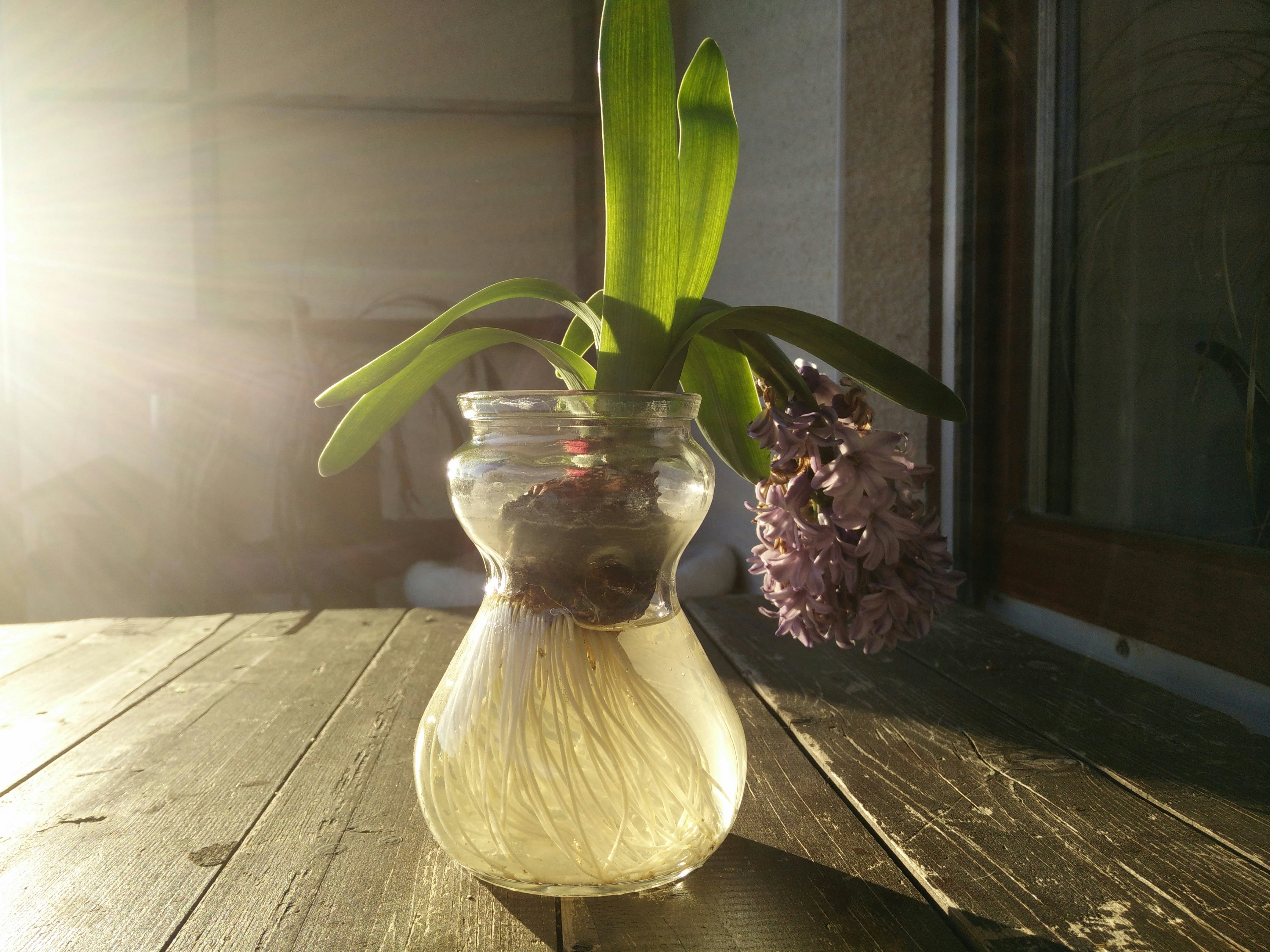 Free Unsplash photo from Max Bachhuber