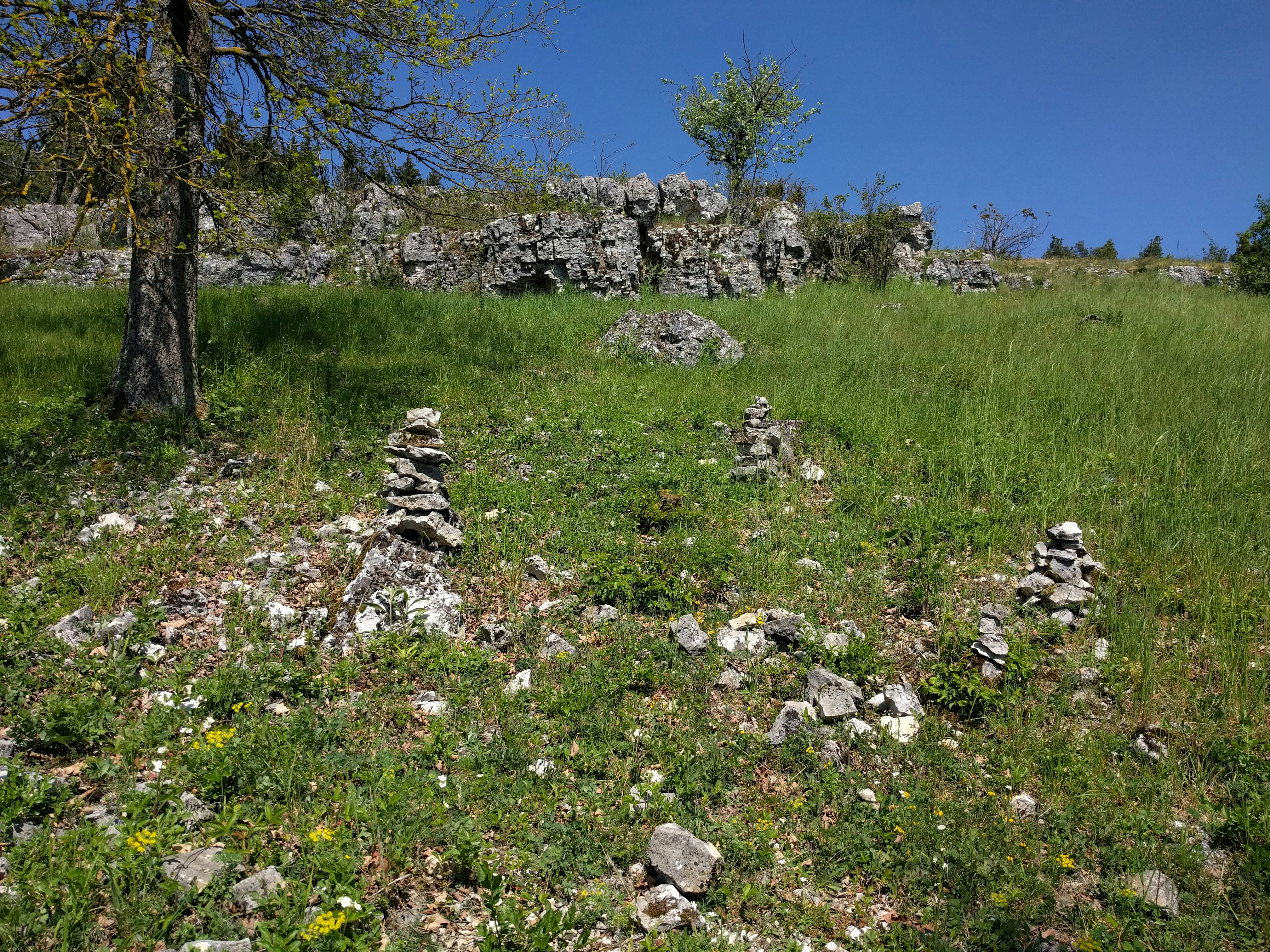 Free Unsplash photo from Max Bachhuber