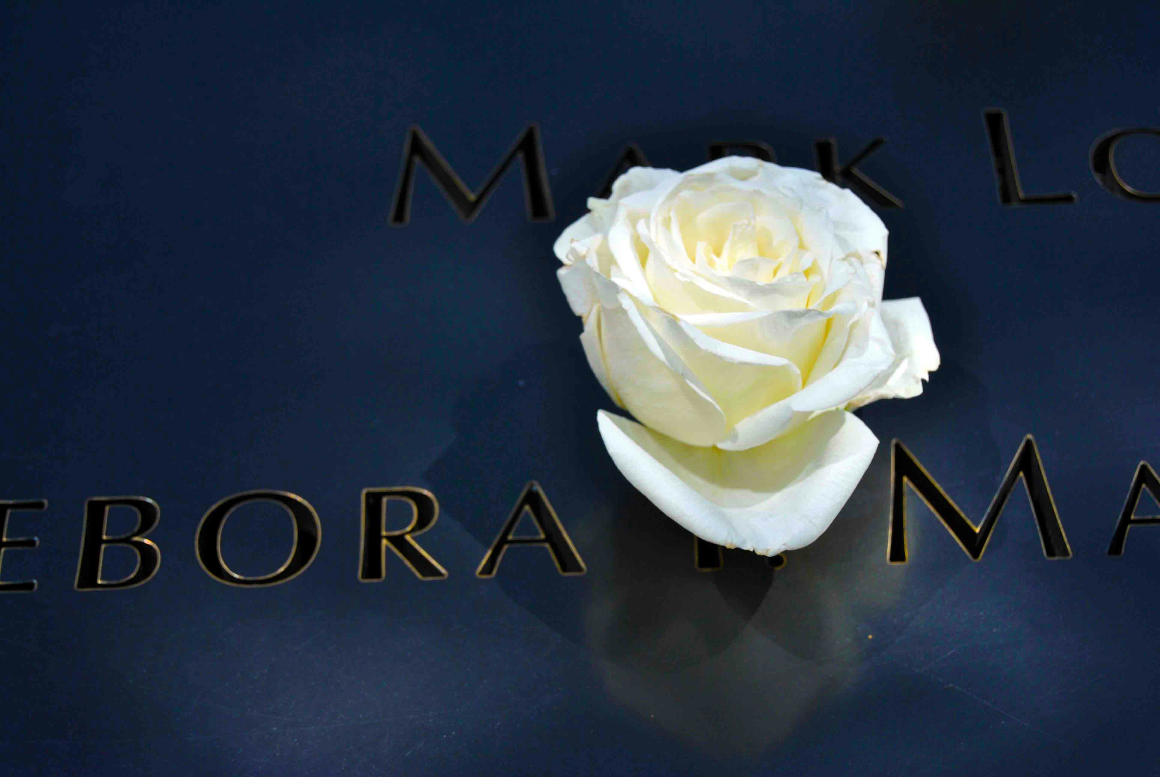 Free Unsplash photo from Byron  Burns