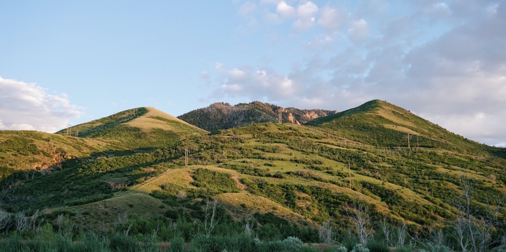 Montanha verde sob o céu azul