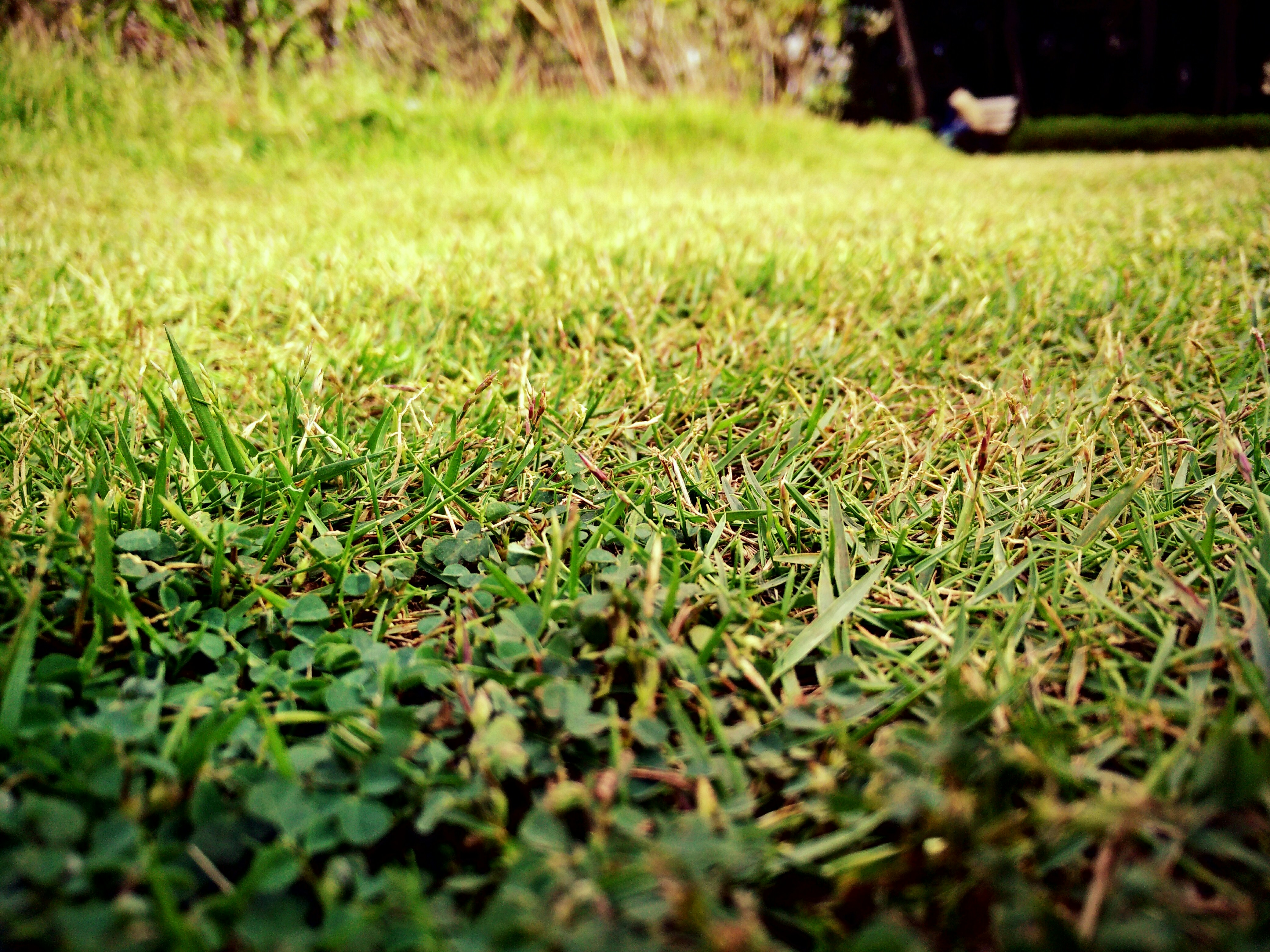 Free Unsplash photo from Kundan Wadkar