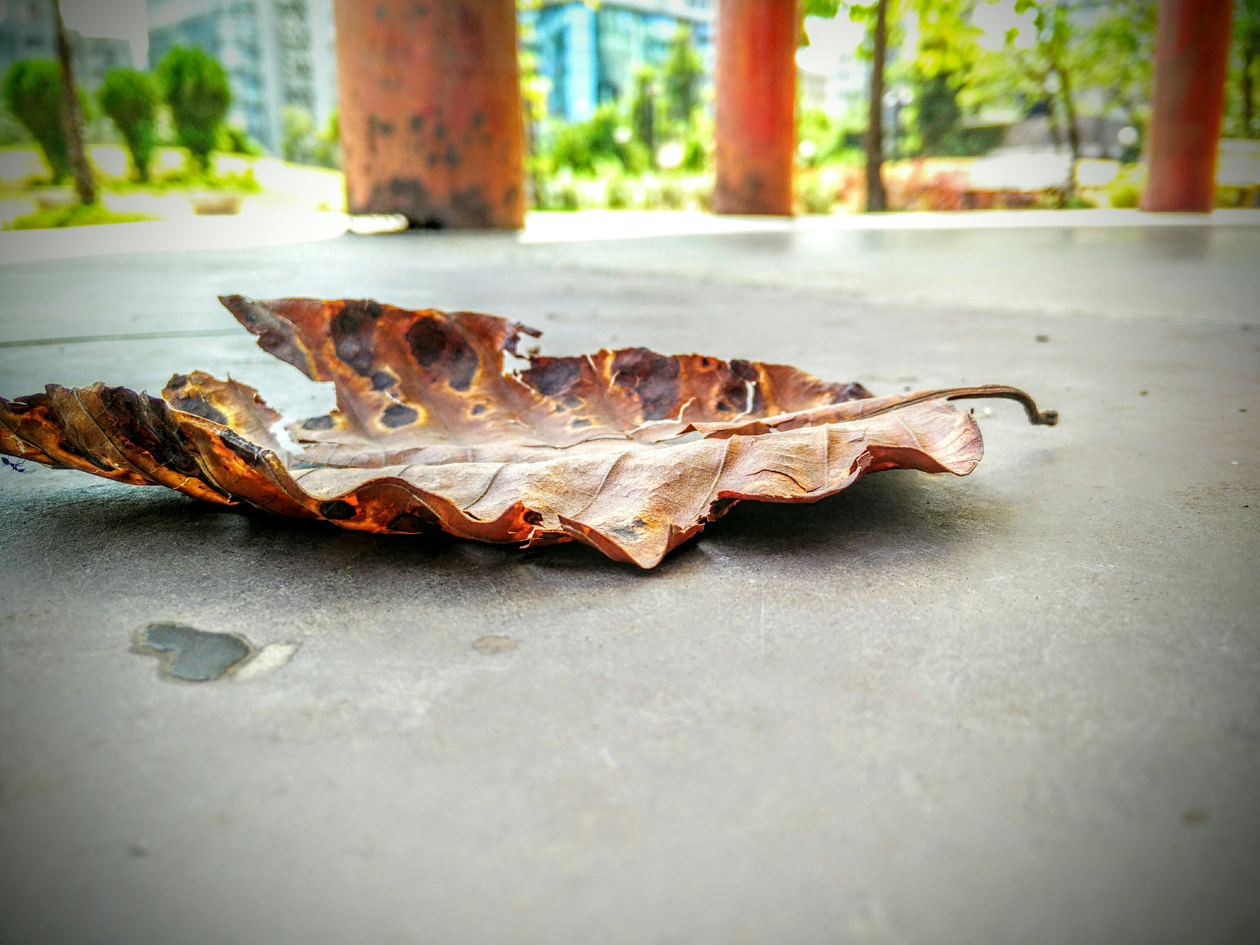 Free Unsplash photo from Kundan Wadkar