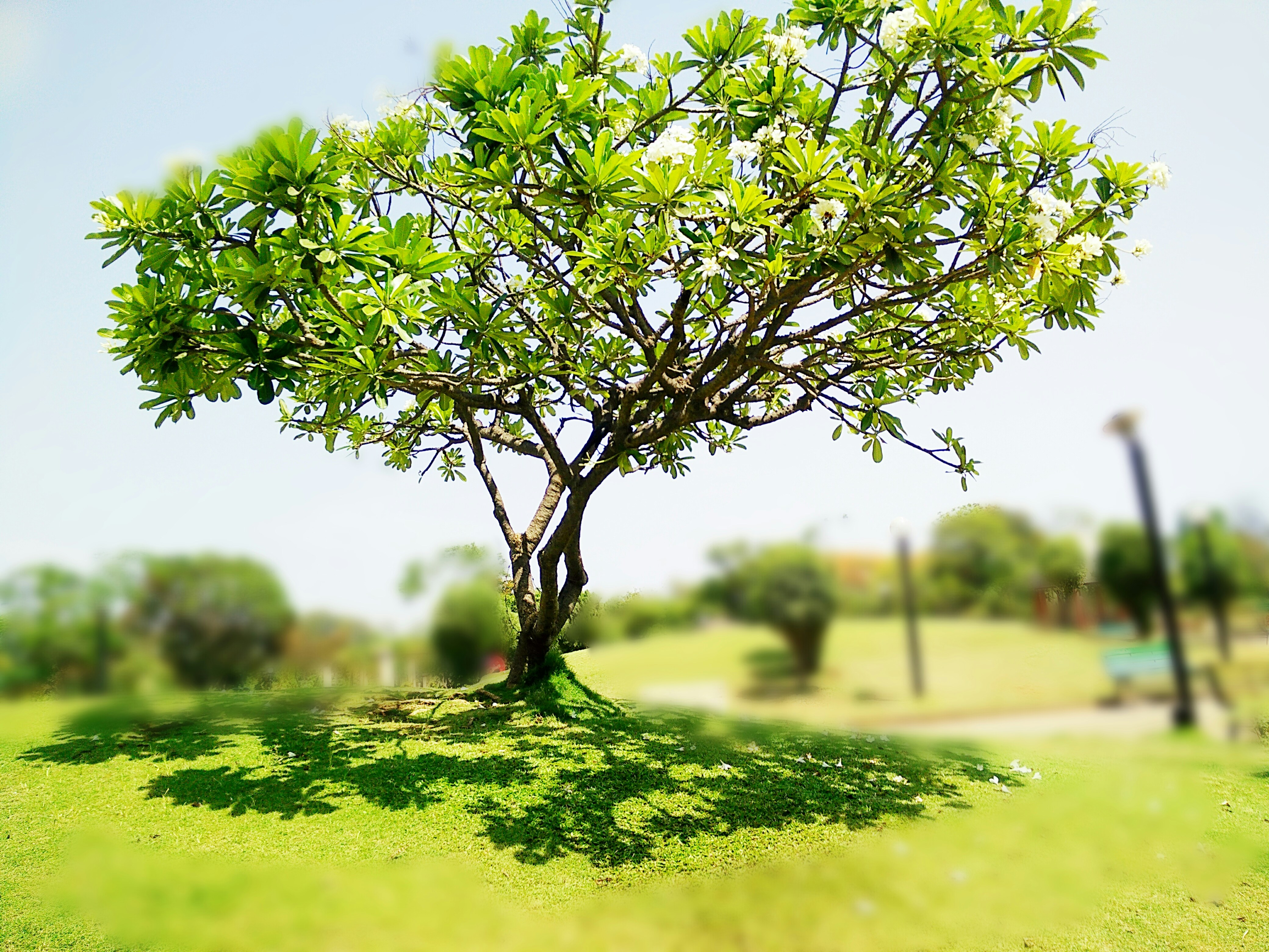 Free Unsplash photo from Kundan Wadkar