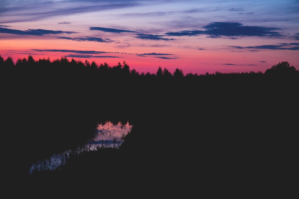 photo of trees during night time