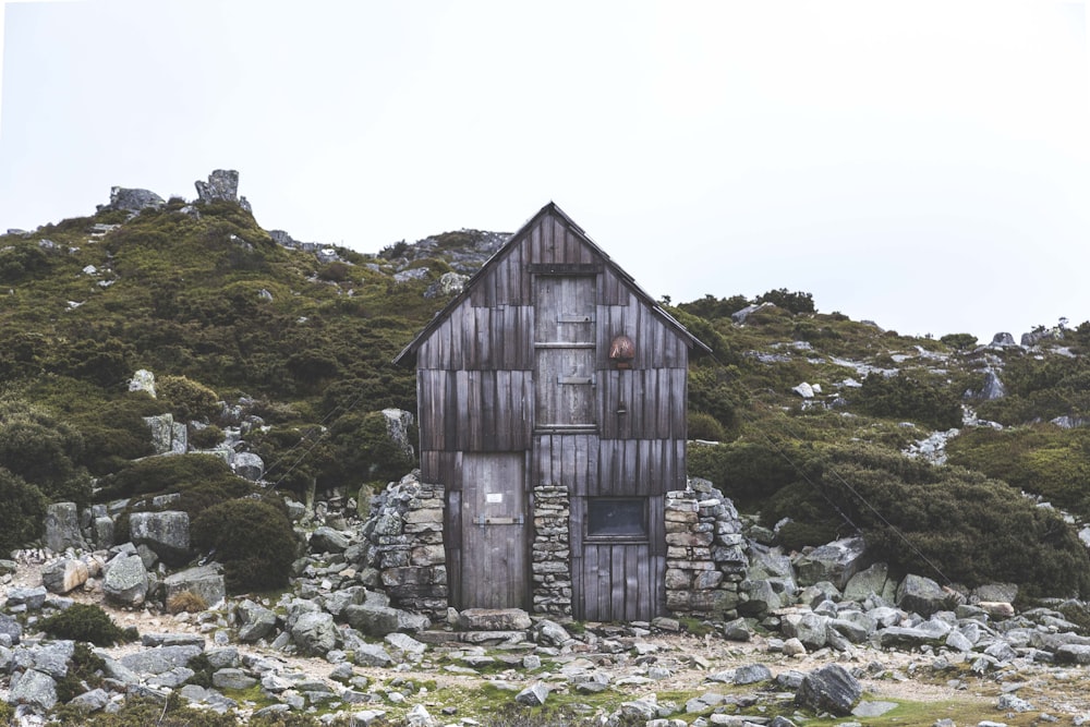 architectural photography of brown wooden house