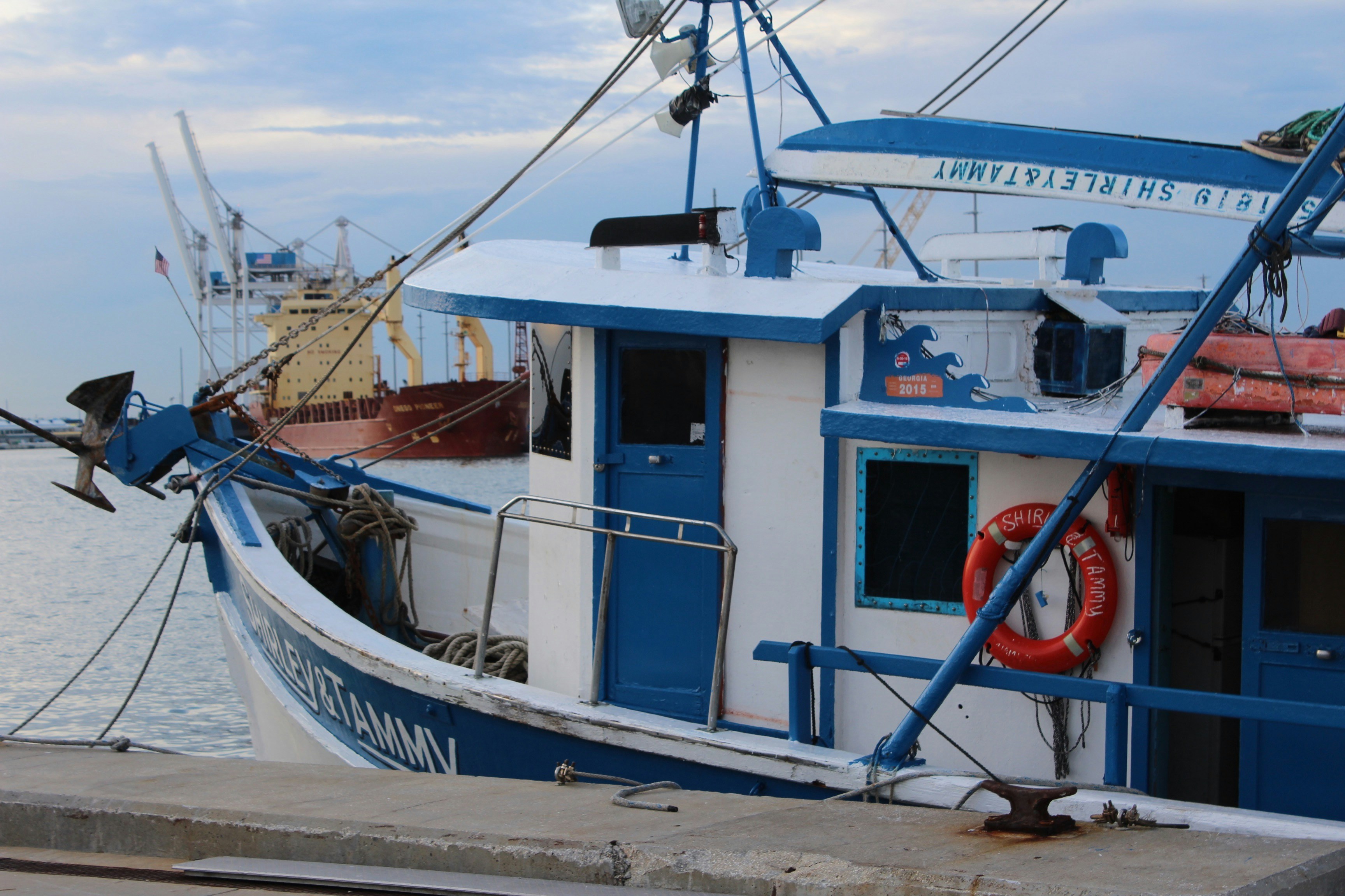 Free Unsplash photo from Kristen Mirand