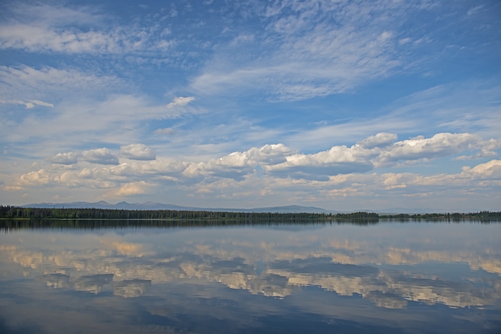 depth of field of body of water during daytime