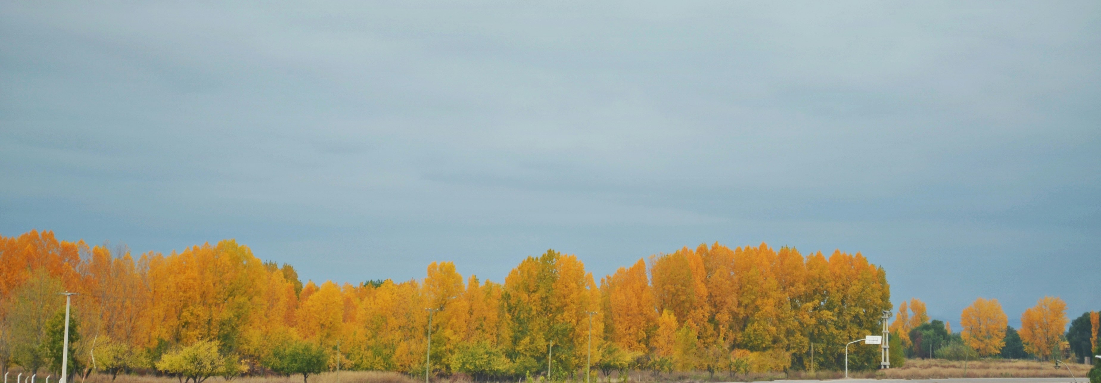 Free Unsplash photo from Matías Funes