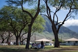 Neighbors enjoying a community picnic under towering oak trees along the riverbank