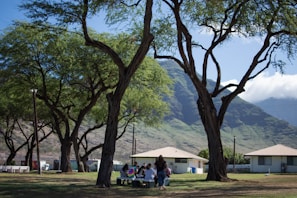 Neighbors enjoying a community picnic under towering oak trees along the riverbank