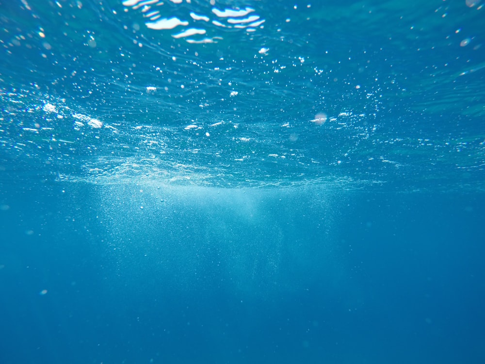 foto subaquática