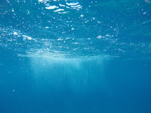 underwater photo