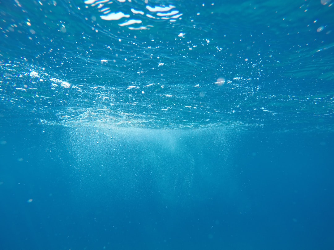 underwater photo,