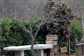 A garden scene featuring a leafless tree next to a stone table with a backdrop of lush green bushes. A vibrant bush with pink flowers stands near wooden crates, surrounded by a rustic wooden fence.
