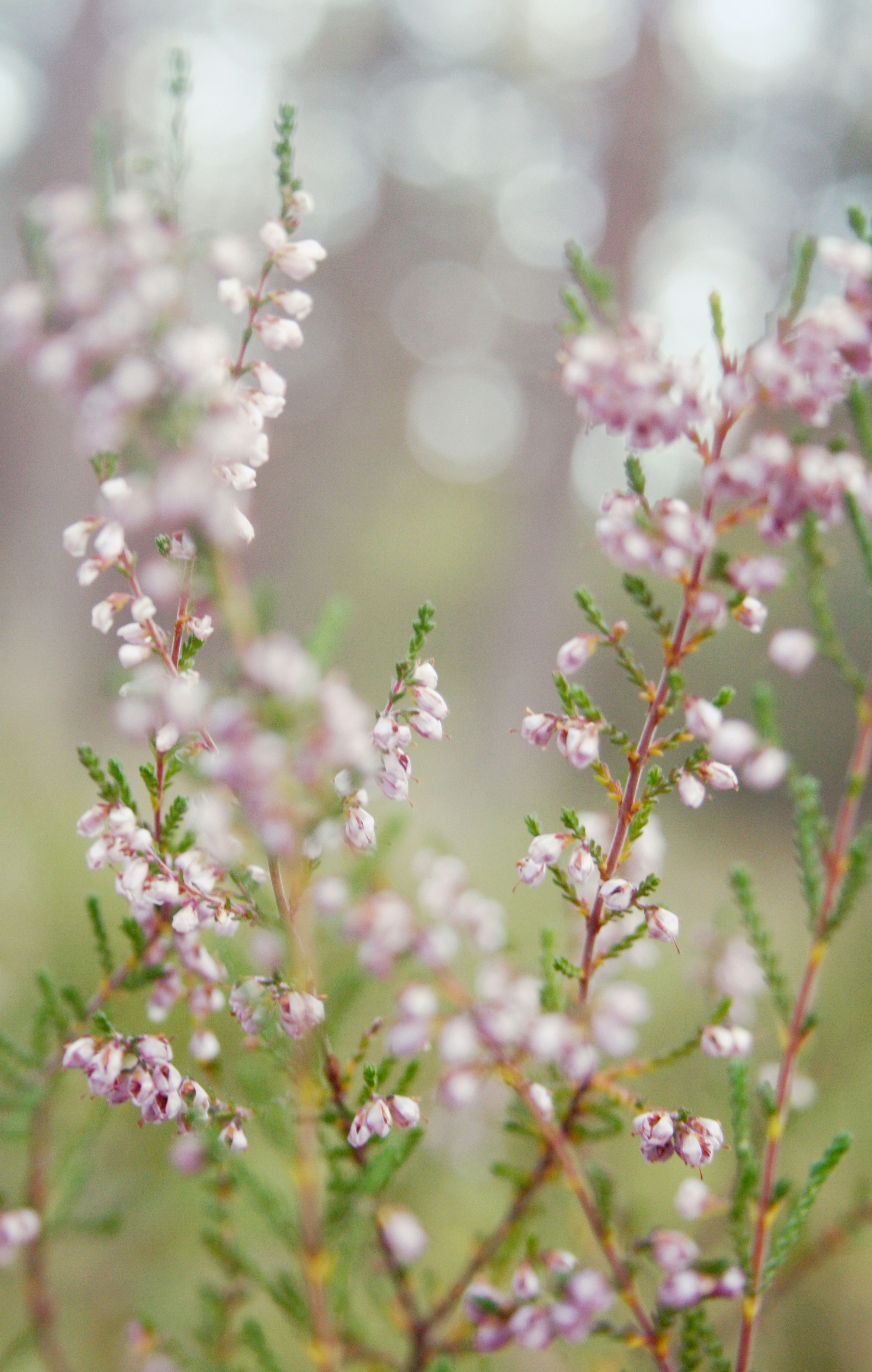 Free Unsplash photo from Sylwia Forysińska