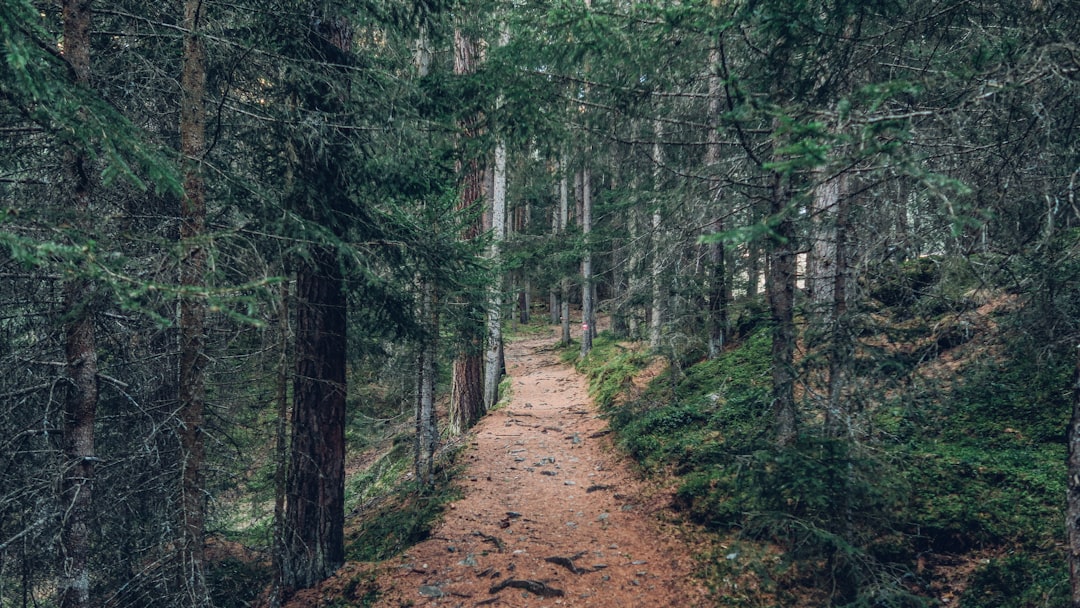 Take A Hike: The 50 Best Trails for Trekking Through Nature in L.A.… — Take A Hike