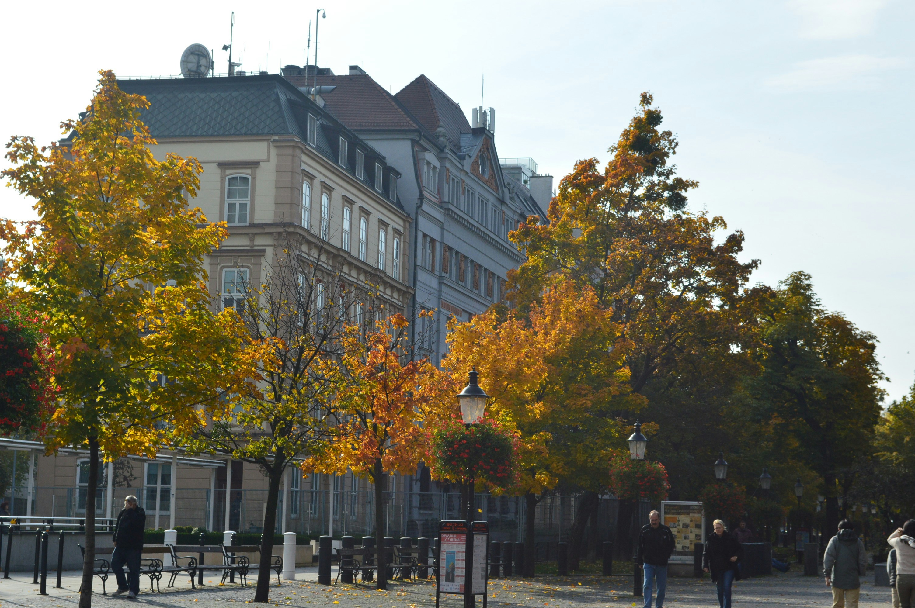 Free Unsplash photo from Hajnalka Ökrös