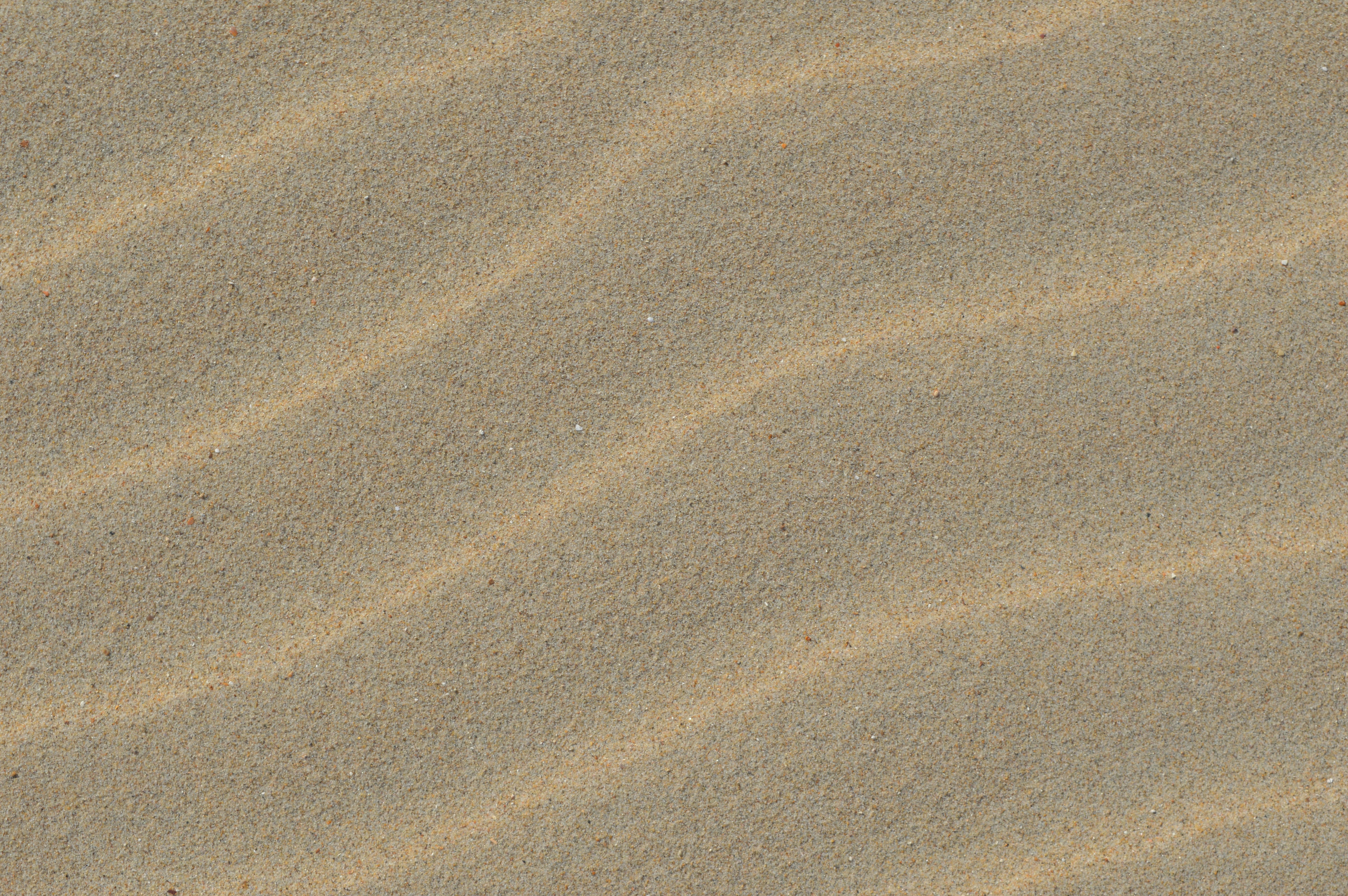 Free Unsplash photo from Bjarno Oeyen