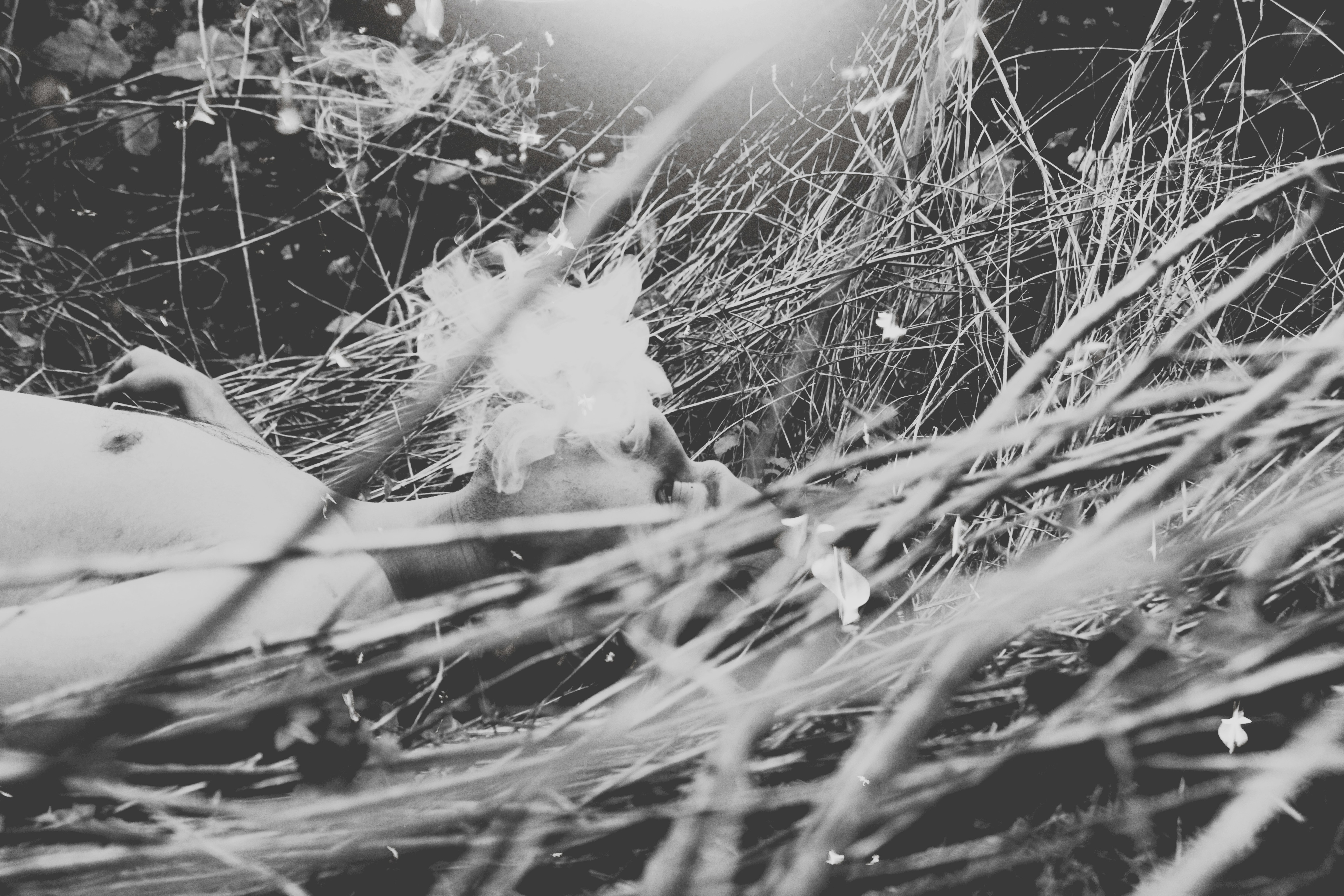 Free Unsplash photo from Ravi Roshan