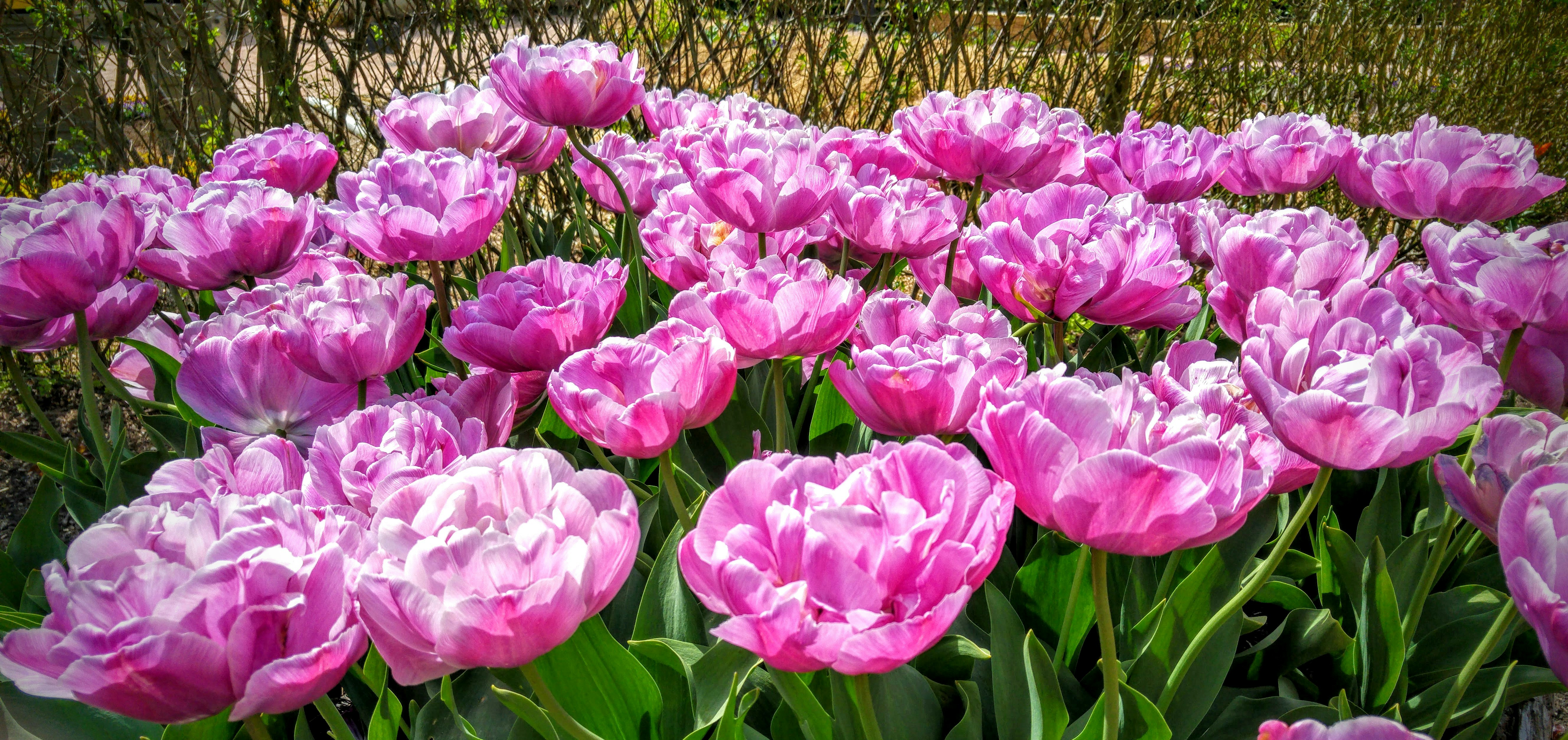 Free Unsplash photo from Vincent Giersch