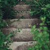 gray concrete stairway between plants