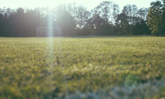 A young athlete celebrating a goal on a sunlit amateur soccer field.