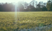 A sunlit soccer field with a single goal post in the background. The foreground shows green grass with sunlight creating a hazy effect. Trees line the background, partially silhouetted against the light.