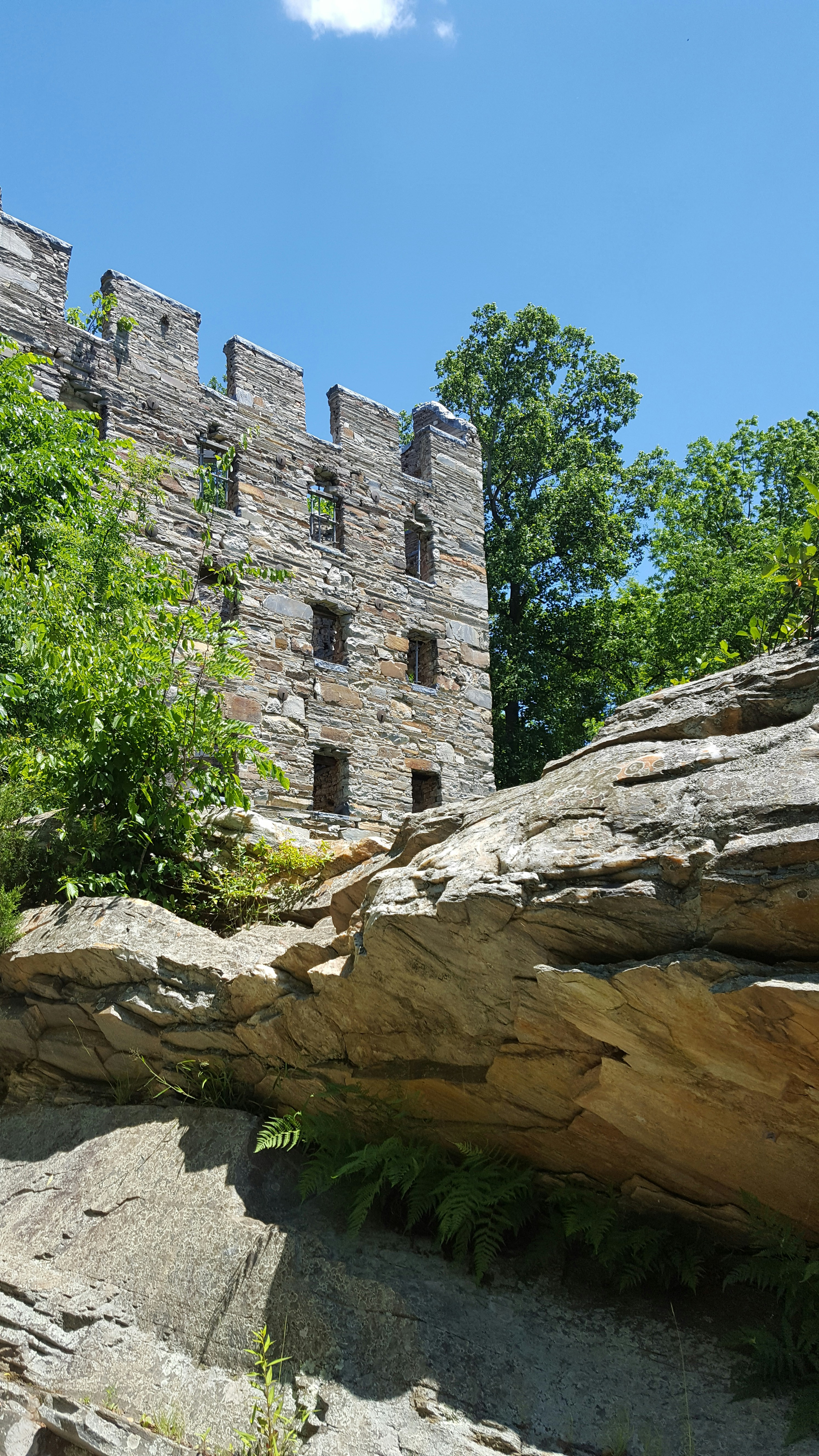 Free Unsplash photo from Ryan Miller