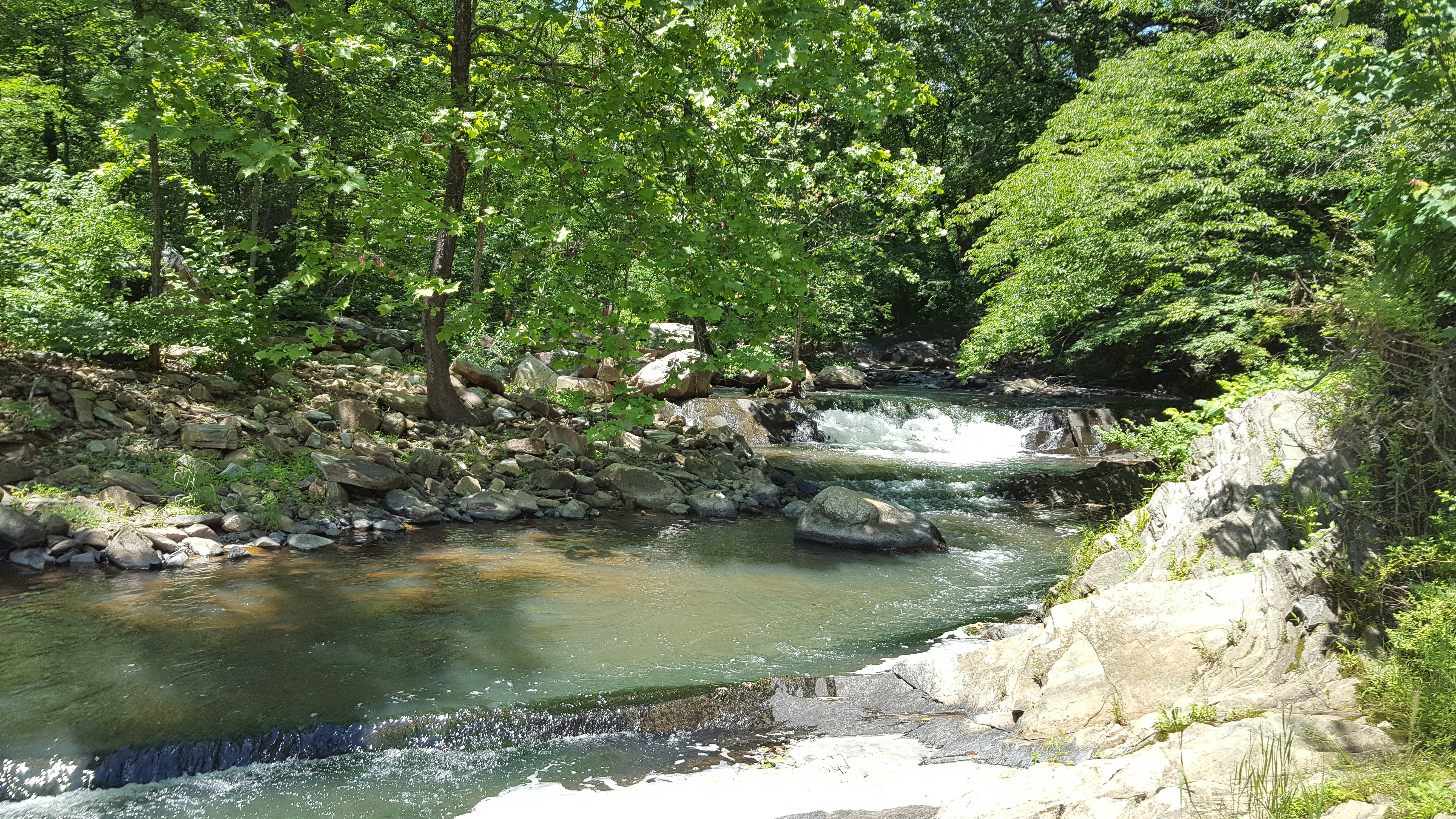 Free Unsplash photo from Ryan Miller