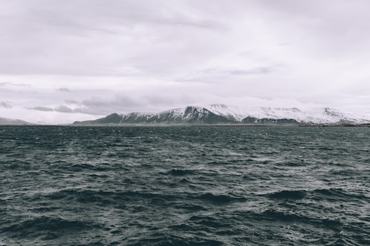 photo of Reykjavik Ocean near Harpa Concert Hall and Conference Centre