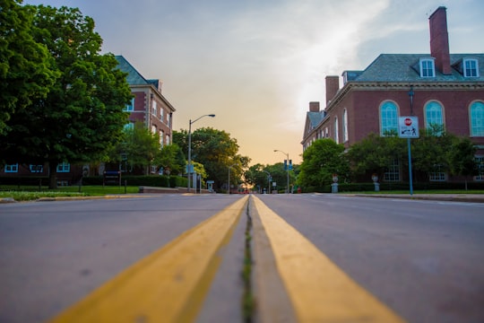 worm's-eye view of road in University of Illinois at Urbana-Champaign United States