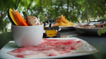 A colorful assortment of raw meat and vegetables is arranged on a plate. A small toy robot is positioned next to a cup containing bright vegetables such as carrot slices and a mushroom. The background features greenery, partially blurred.